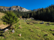 IMG_20241027_130435_1600