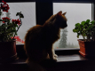 IMG_20240919_123423_1600