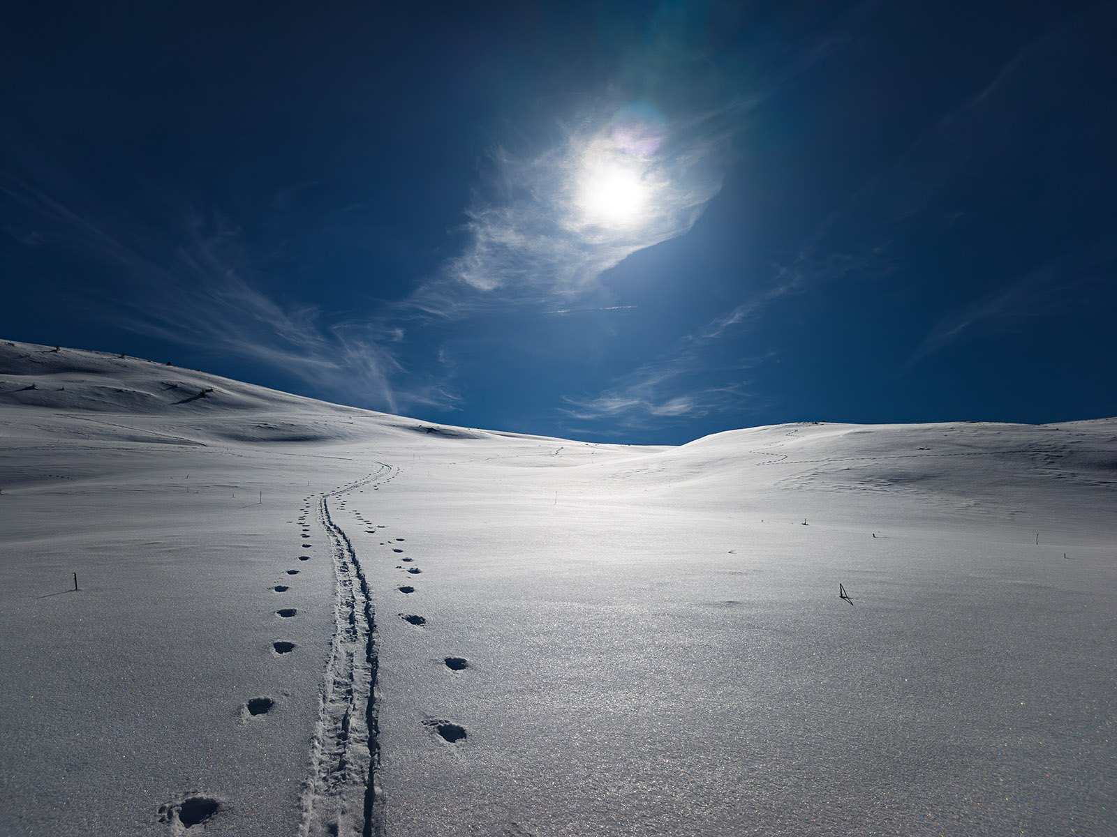 IMG20260301142913_1600